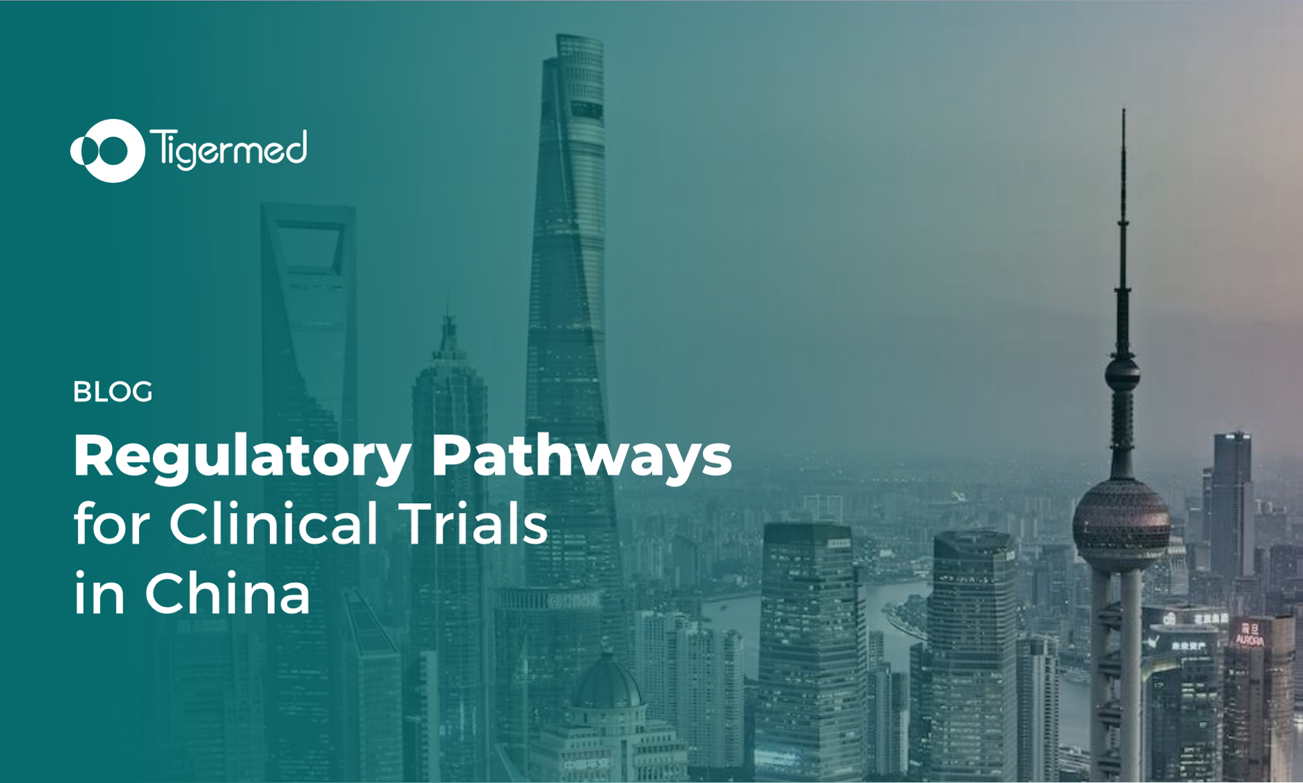  Tigermed Contract Research Organization (CRO) Insight Article Image for Clinical Trial Management, Medical Device CRO, IVD CRO Services, and Regulatory Affairs: Regulatory Pathways for Clinical Trials in China – Navigating the New Dual-Track System 